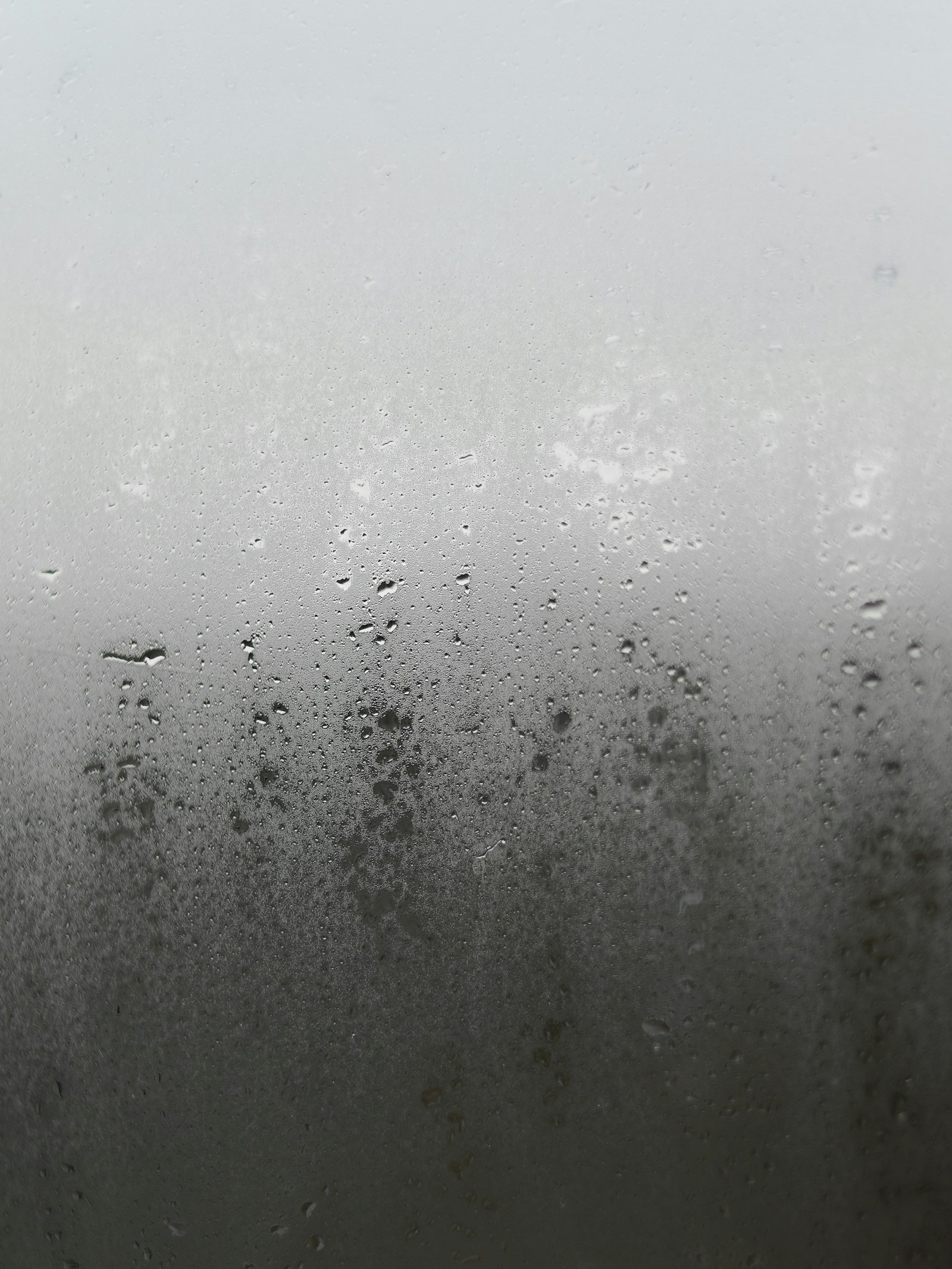 Kondenswasser auf einer Fensterscheibe